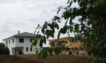 Einfamilienhaus hinter Bäumen